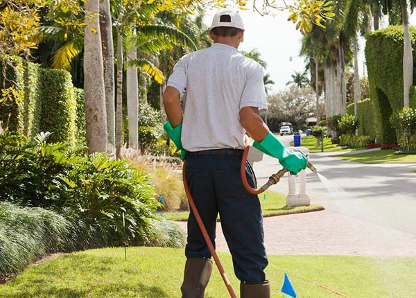 About Etna CA Pest Control